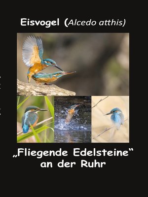 cover image of Eisvogel (Alcedo atthis)
